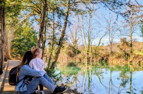 Les Rives du Lez Vert | Balade nature aux portes de Montpellier