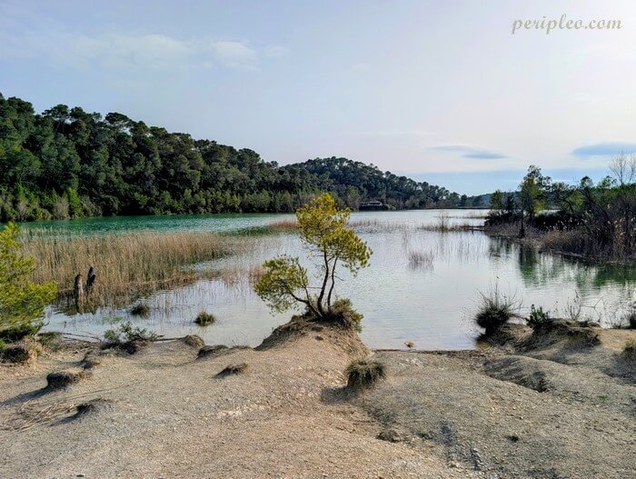 Rives sauvages du Lac de Cécélès à Saint-Mathieu-de-Tréviers dans l’Hérault, lac naturel entouré de garrigue près de Montpellier