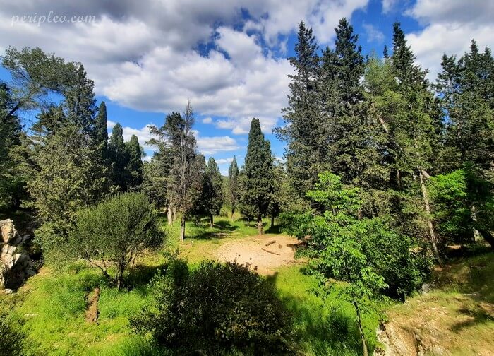 Sentier au cœur du Bois de Montmaur à Montpellier, forêt de garrigue avec pins et chênes verts