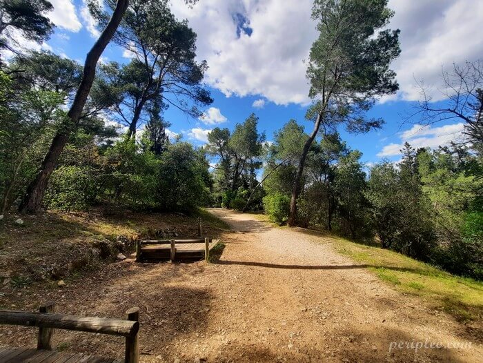 Chemin de randonnée au Bois de Montmaur à Montpellier, balade en pleine garrigue entre pins et sentiers ensoleillés