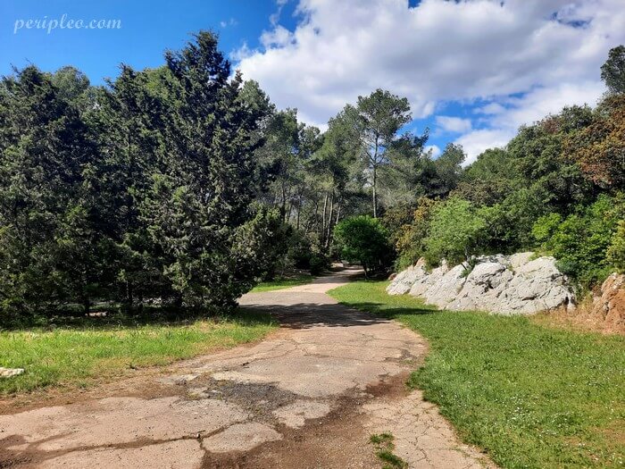 Chemin forestier dans le Bois de Montmaur à Montpellier, entre pins et garrigue