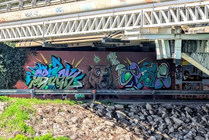 Street art au Marché du Lez à Montpellier, fresque sous le pont mêlant lettrages graffiti aux tons bleu et vert, encadrant le portrait réaliste d'un ours