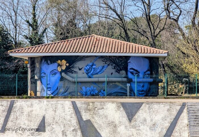 Street art au Marché du Lez à Montpellier, fresque monumentale aux nuances de bleu de Sidka représentant deux visages féminins encadrant un oiseau en plein vol