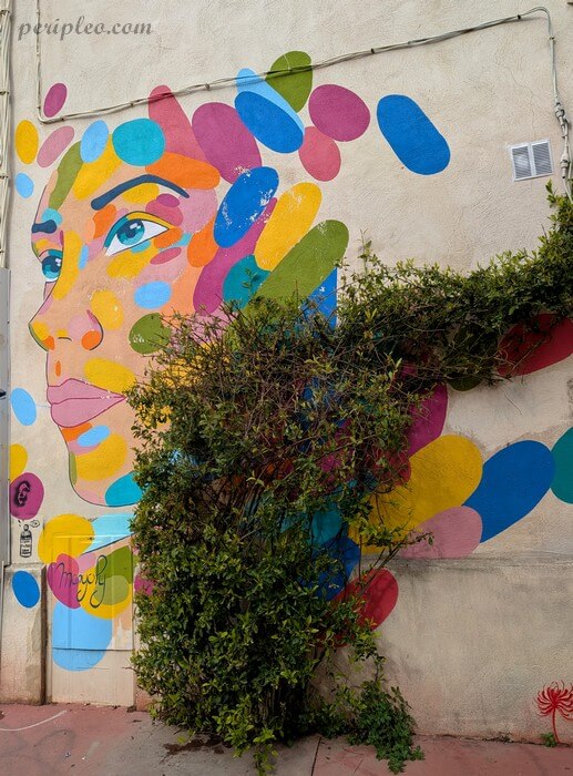 Fresque monumentale de Manyoly dans la Rue de l’Aire à Montpellier, portrait féminin aux couleurs éclatantes intégré à une façade végétalisée