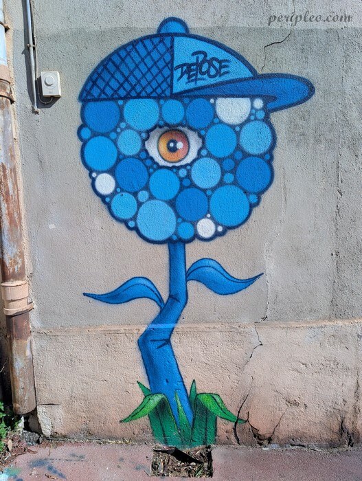 Street art original de Depose dans la Rue de Barcelone à Montpellier, représentant une fleur bleue au regard unique coiffée d’une casquette