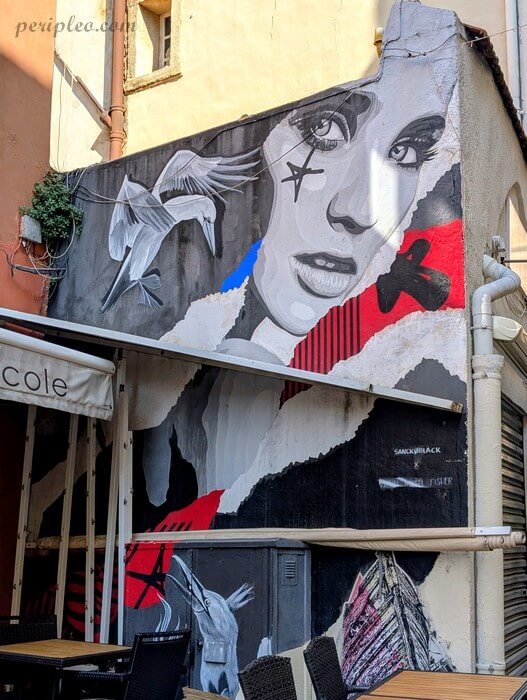 Grande fresque street art signé Sanckoblack Rue du Plan d’Agde à Montpellier, portrait féminin et oiseaux en noir et blanc dans le centre historique sud