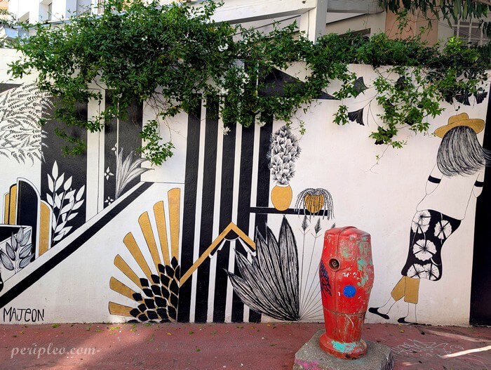 Street art Rue Pralon à Montpellier, œuvre graphique noir et blanc de Majeon mêlant motifs végétaux et silhouette féminine dans le Quartier Méditerranée