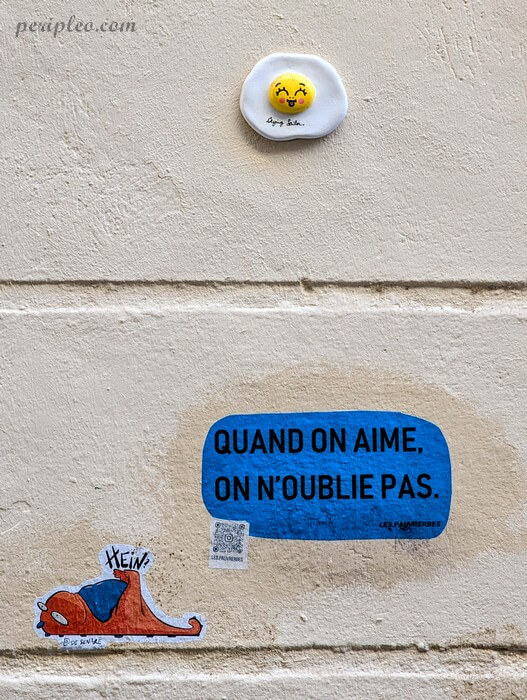 Street art Rue des Sœurs Noires à Montpellier avec œuvres de Crying Sailor, Les Pauvrerbes et Luce De Senaré dans le centre historique sud