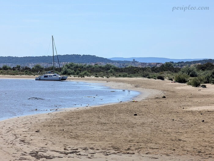 Bord sauvage de l’Étang du Grazel avec vue sur Gruissan