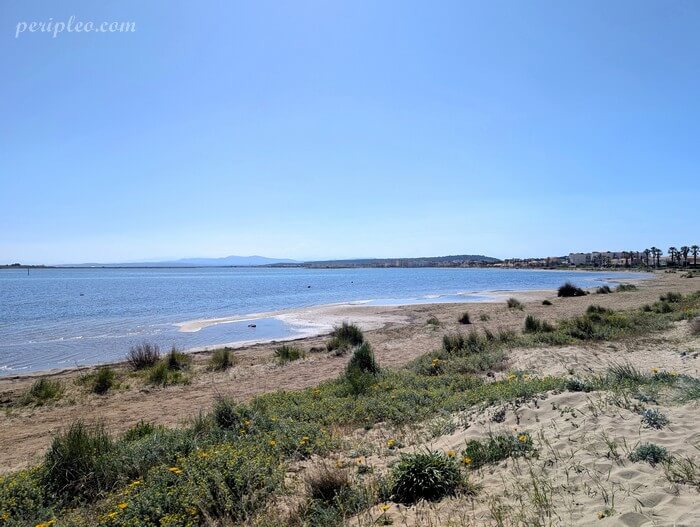 Paysage naturel autour de l’Étang du Grazel à Gruissan avec dunes et eau calme