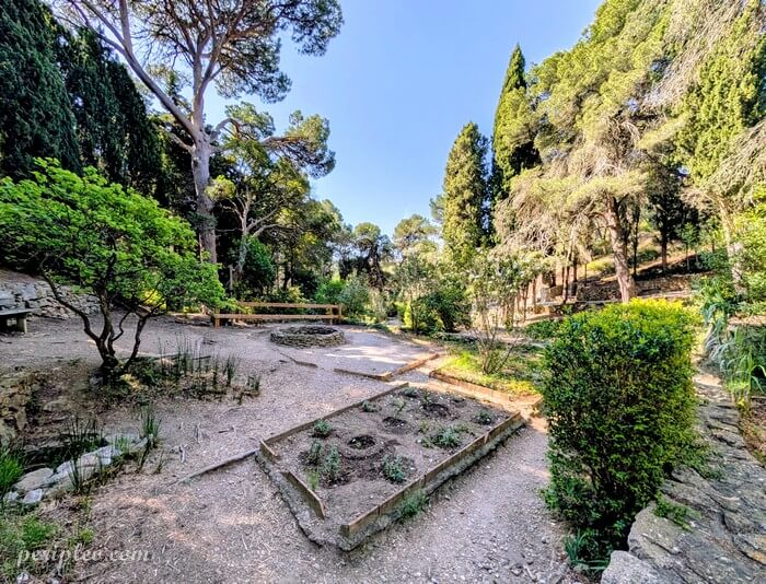 Jardin de l’Ermite à Notre-Dame des Auzils à Gruissan dans le massif de la Clape