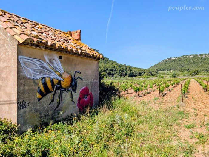 Street Art d’abeille près des vignobles de Gruissan dans le massif de la Clape