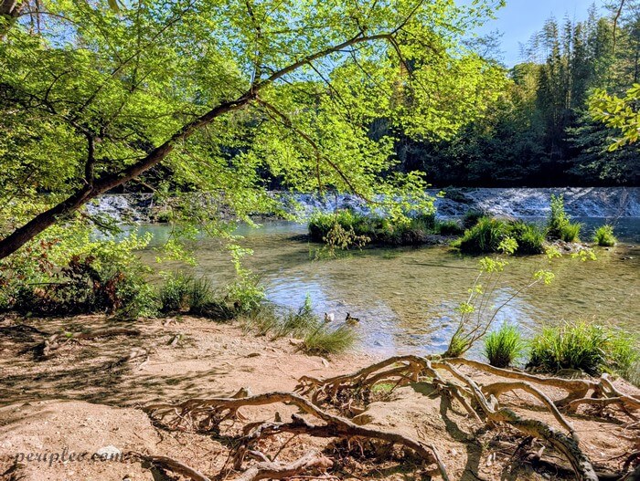 Bord du Lez et petite cascade au Parc du Domaine de Méric à Montpellier