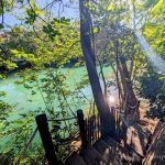 Que faire hors du centre de Montpellier | 14 incontournables