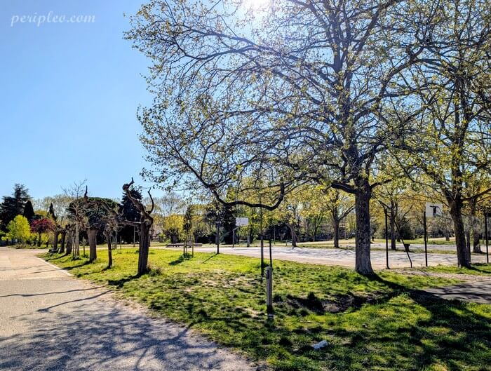 Chemin de promenade au Parc Montcalm à Montpellier sous les arbres au printemps