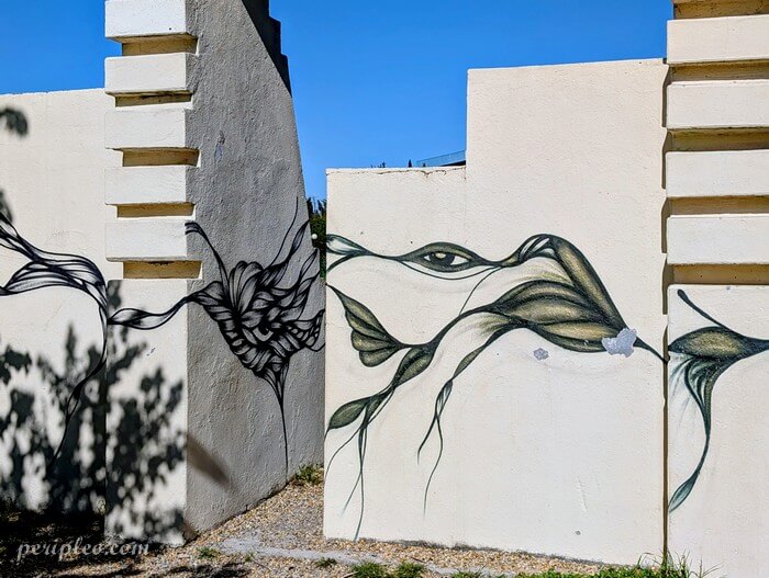 Fresque de street art abstraite représentant des yeux et des formes végétales sur les murs du Parc Montcalm à Montpellier