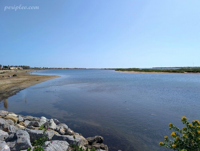 Vue sur la Plage du Grazel à Gruissan entre eau calme et paysage naturel