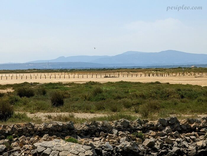 Paysage naturel autour de la Plage de la Vieille Nouvelle à Gruissan avec dunes et végétation sauvage