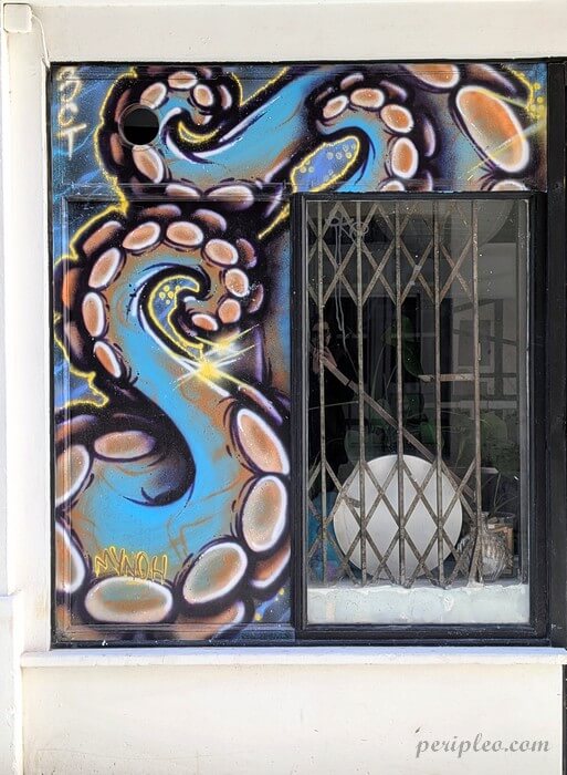 Street art de Mynoh Rue Chrestien à Montpellier, fresque colorée représentant une tentacule de pieuvre aux ventouses nacrées qui semble surgir autour d'une fenêtre du centre historique nord