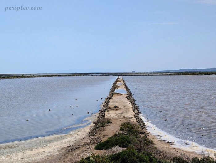 Chemin au cœur des Salins de l’Île Saint-Martin à Gruissan dans l’Aude