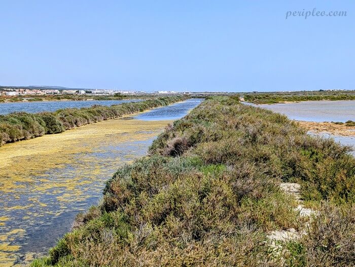 Paysage naturel des Salins de l’Île Saint-Martin à Gruissan entre étangs et végétation sauvage