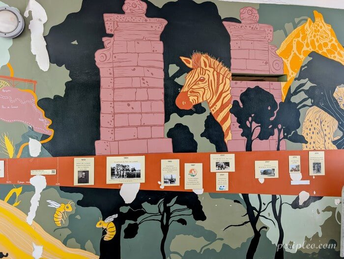 Fresque murale sur les animaux et l’histoire du Zoo de Lunaret à Montpellier