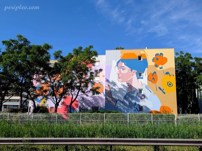Fresque monumentale de Zeklo représentant le portrait d'une jeune femme sur la Résidence Joseph Lambot Boulevard Jacques Fabre de Morlhon à Montpellier