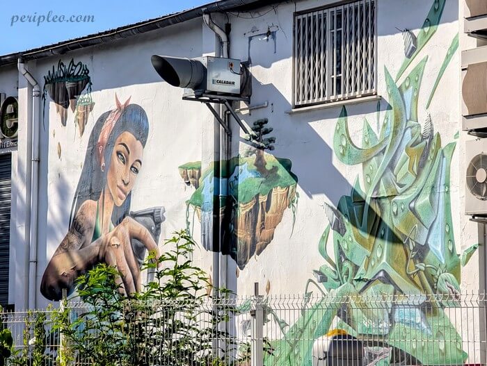 Fresques de street art mêlant portrait féminin et lettrage graffiti sur un bâtiment du Boulevard Jacques Fabre de Morlhon à Montpellier