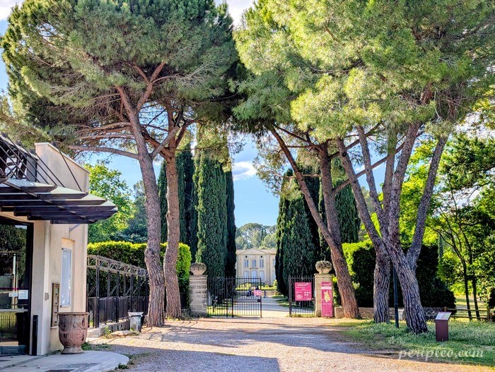Allée de pins parasols menant au Château d’Ô à Montpellier, célèbre folie montpelliéraine de l’Hérault