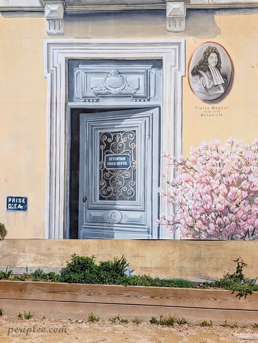 Détail de la fresque en trompe-l’œil du Parc Clémenceau par l'atelier A-Fresco à Montpellier, porte ancienne et décor floral inspirés du patrimoine montpelliérain