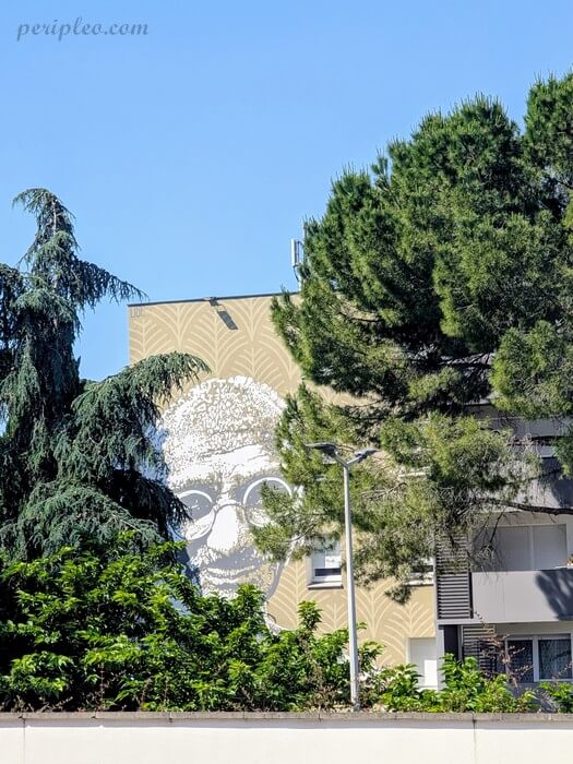 Mural en noir et blanc du visage de Gandhi réalisé sous la direction de l'association LineUp par Arkane et Ose sur la façade de la Résidence de la Cour des Écoles à Montpellier