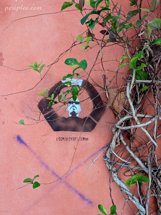 Street art Rue Desmazes à Montpellier, pochoir urbain engagé sur un mur végétalisé du centre historique sud