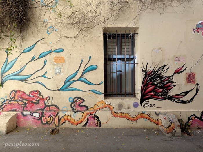 Street art Rue du Général Maureilhan à Montpellier avec fresques végétales colorées et compositions urbaines artistiques dans le centre historique sud
