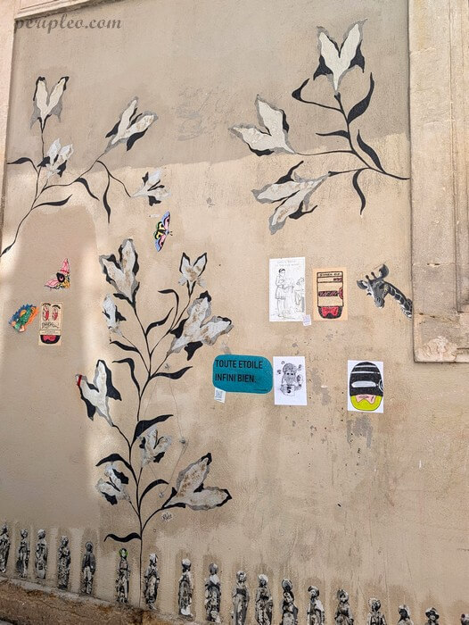 Street art Rue du Général Maureilhan à Montpellier, fresque florale noir et blanc entourée de collages artistiques sur un mur du centre historique sud