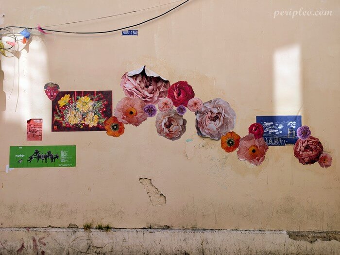 Street art Rue du Général Vincent à Montpellier avec collage floral poétique de l'Atelier Shamarée et compositions artistiques de Marie Pourchot dans le centre historique sud