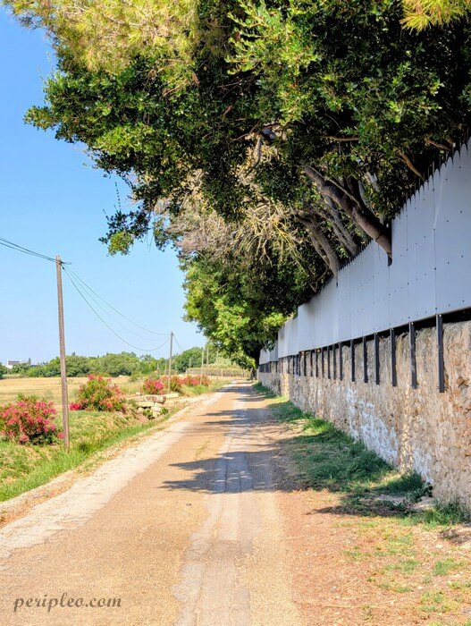 Chemin bordant le domaine du Château La Banquière à Mauguio, entre campagne et portes de Montpellier