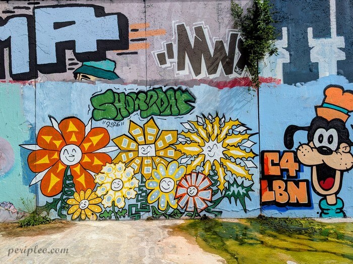 Fresque de Street art colorée avec des fleurs souriantes et un personnage de dessin animé sur les murs du Quai du Verdanson à Montpellier
