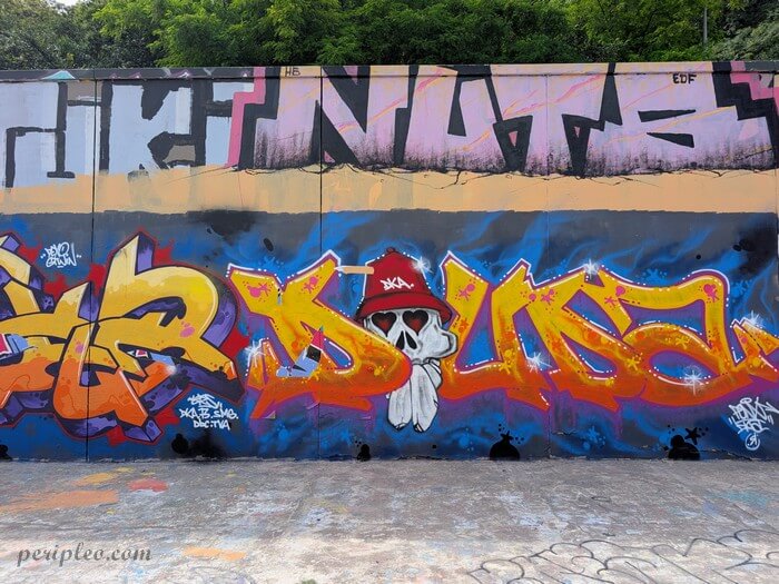 Graffiti coloré représentant un lettrage et une tête de mort coiffée d'une casquette sur les murs du Quai du Verdanson à Montpellier