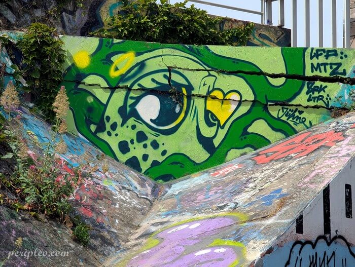Street art Quai du Verdanson à Montpellier, fresque représentant une tortue verte au regard expressif, rehaussée d'un petit cœur jaune et d'un halo lumineux
