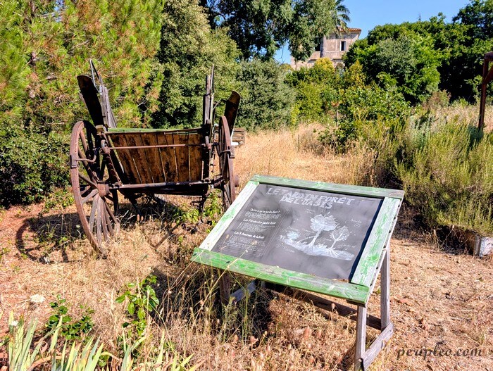 Ancienne charrette et panneau pédagogique dans le parc du Château de Flaugergues à Montpellier, au cœur du jardin écologique