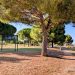 Parc du Mas Rouge à Pérols | Balade nature et jeux en famille