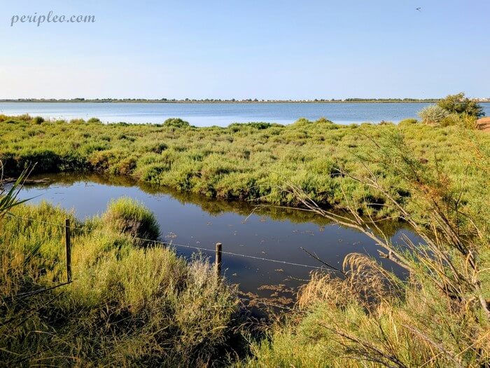 Vue sur l’étang du Méjean depuis le Parc du Mas Rouge à Pérols, entre lagune, roselières et nature préservée dans l’Hérault