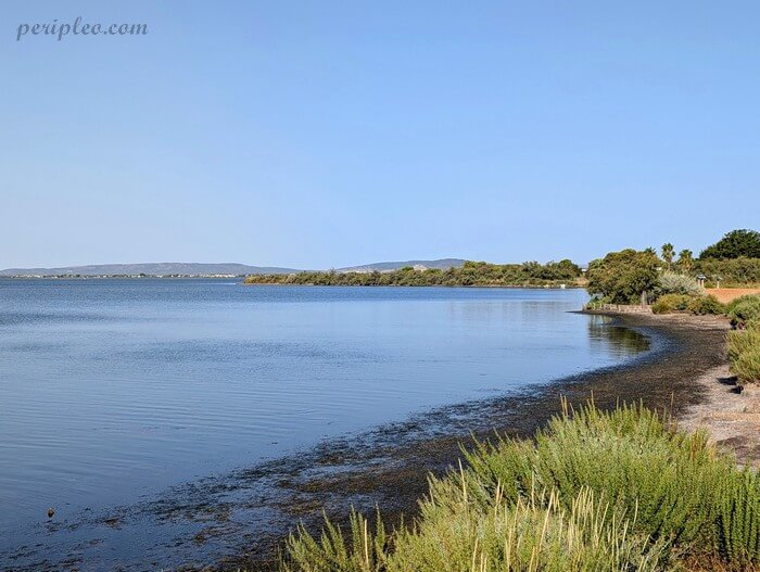 Vue sur l'étang du Méjean depuis le Parc du Mas Rouge de Pérols dans l'Hérault