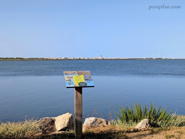 Panneau pédagogique au bord de l’étang du Méjean dans le Parc du Mas Rouge à Pérols, espace nature dédié à la découverte de la biodiversité