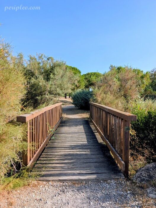 Petit pont en bois sur le sentier du Parc du Mas Rouge à Pérols, balade nature au cœur des espaces préservés de l’étang du Méjean