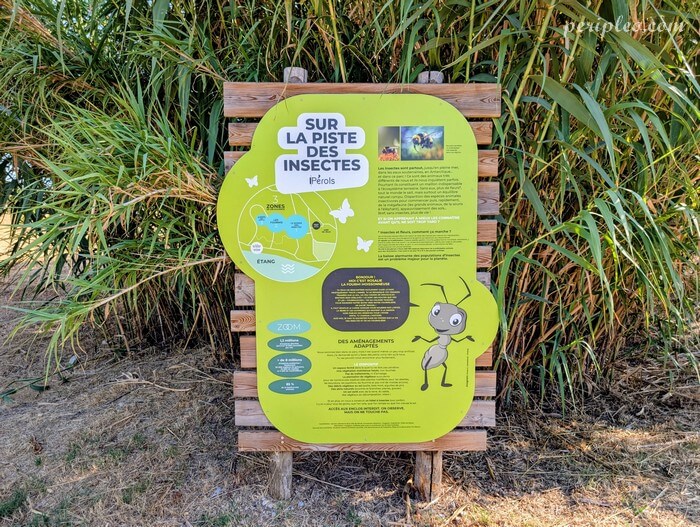 Panneau pédagogique sur les insectes au Parc du Mas Rouge à Pérols, parcours découverte de la biodiversité de l’étang du Méjean