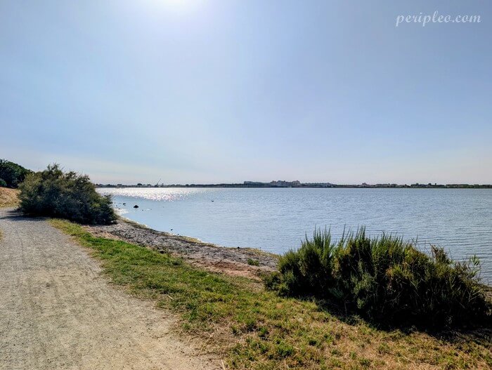 Sentier de balade au bord de l'étang du Méjean au Parc du Mas Rouge de Pérols