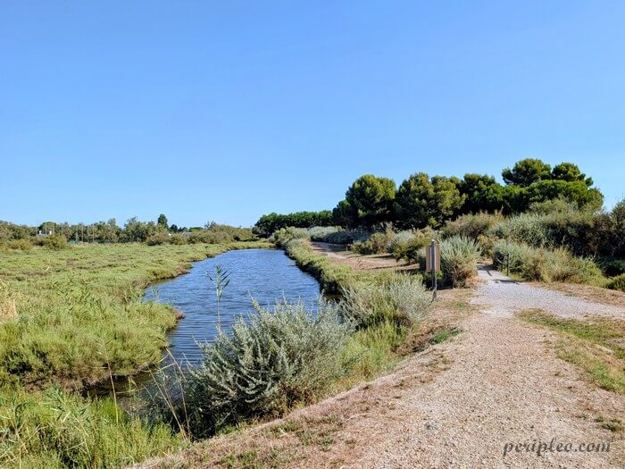 Sentier longeant un canal au Parc du Mas Rouge à Pérols, promenade nature entre végétation méditerranéenne et étang du Méjean