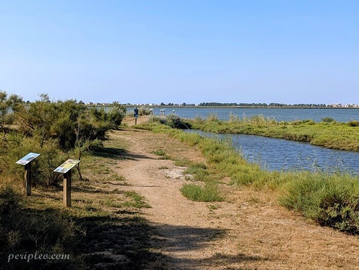 Sentier pédagogique du Parc du Mas Rouge à Pérols, promenade au bord de l’étang du Méjean avec panneaux d’interprétation de la biodiversité